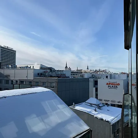 Great Downtown Artius Center アパート タリン